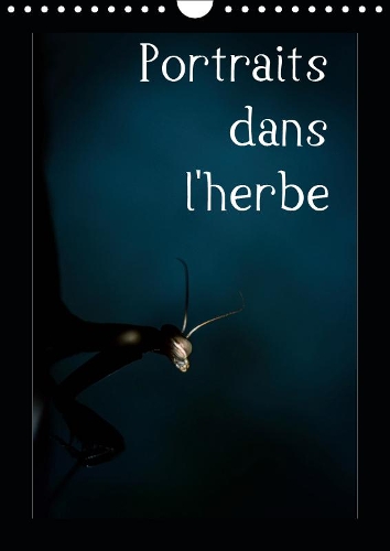 Portraits dans l'herbe 2019