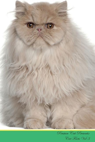 Persian Cat Presents