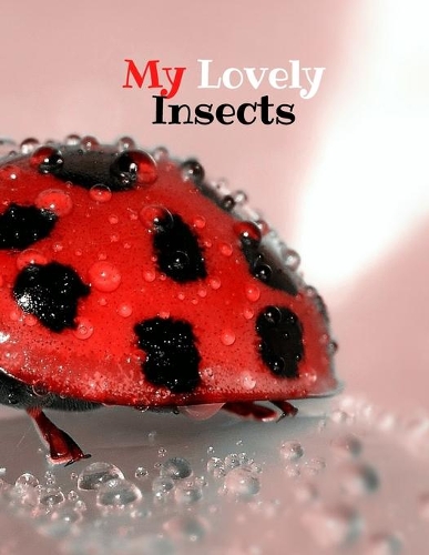 My Lovely Insects
