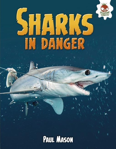 Sharks in Danger: (Wild World of Sharks)