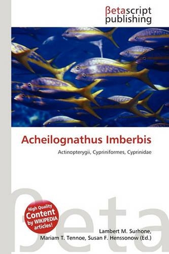 Acheilognathus Imberbis