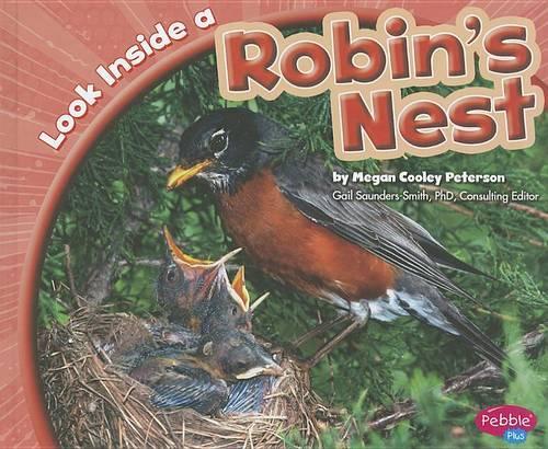 Look Inside a Robin's Nest