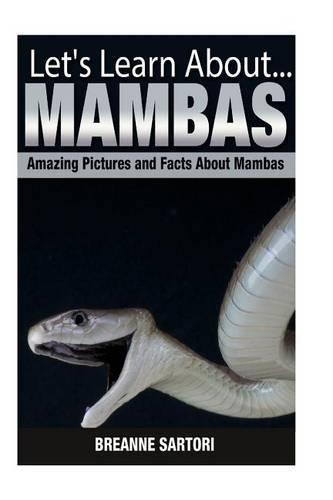 Mambas