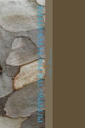 putting the pieces together