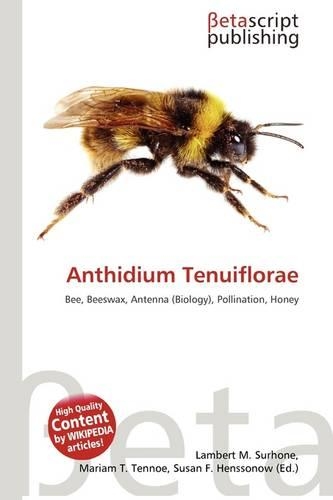 Anthidium Tenuiflorae