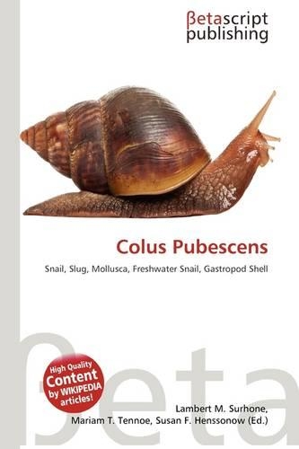 Colus Pubescens: (English)