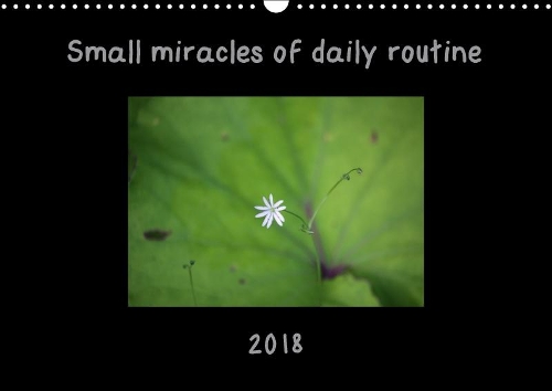 Small Miracles of Daily Routine 2018