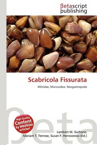 Scabricola Fissurata