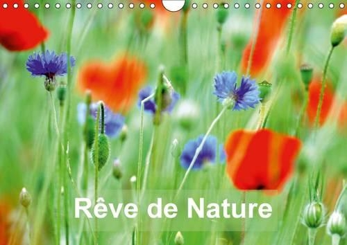 Reve De Nature 2017