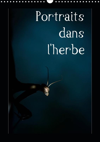 Portraits dans l'herbe 2019