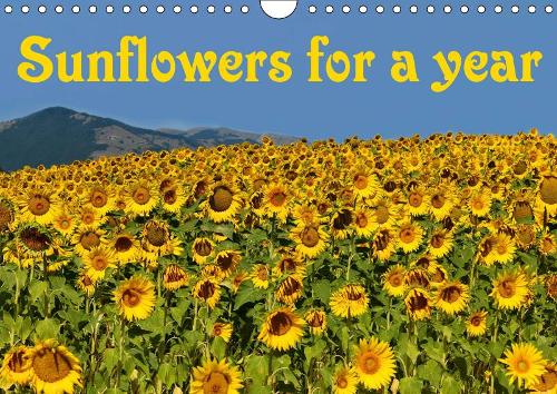 Sunflowers for a year 2019: Fresh big yellow sunflowers are beautiful. Let them brighten your year and make you smile every day!(Calvendo Nature)