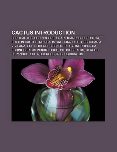Cactus Introduction
