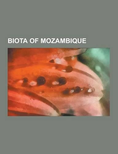 Biota of Mozambique