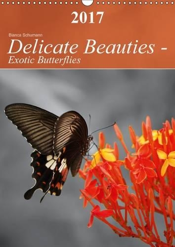 Delicate Beauties - Exotic Butterflies 2017