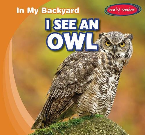I See an Owl: (In My Backyard)