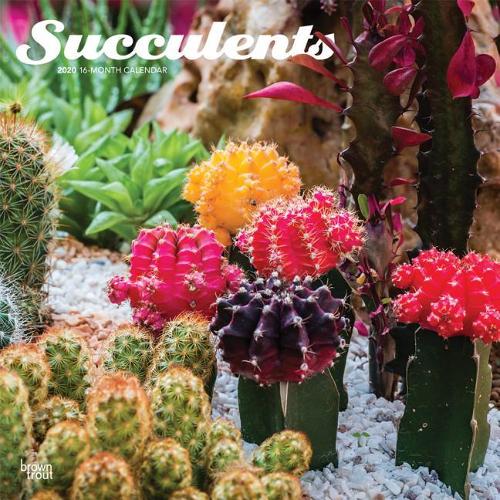 Succulents 2020 Square