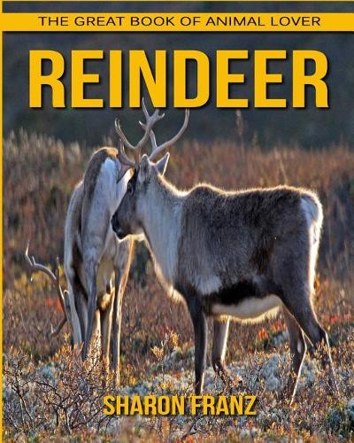 Reindeer