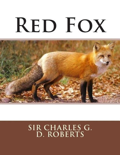 Red Fox