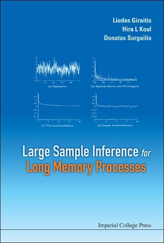 Large Sample Inference For Long Memory Processes
