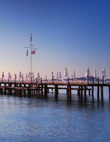 Daily Planner Journal