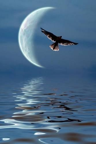 Flight of Fantasy Journal