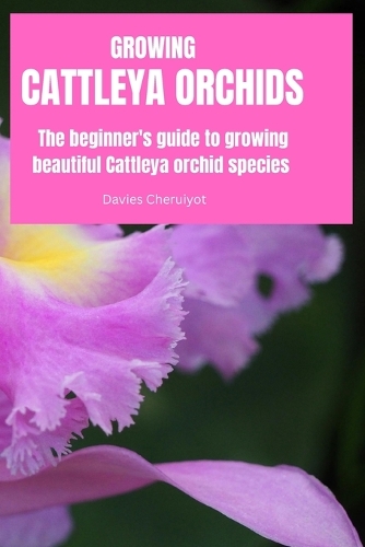 Growing Cattleya Orchids