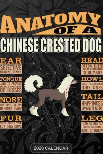 Anatomy Of A Chinese Crested Dog