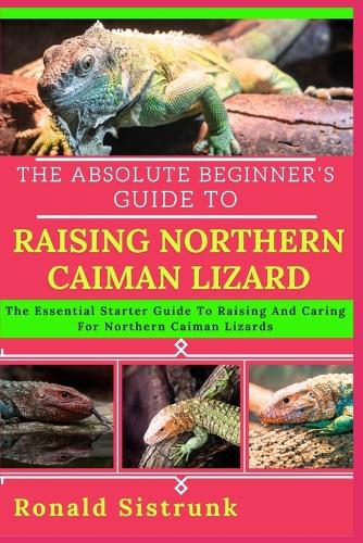 The Absolute Beginner's Guide to Raising Northern Caiman Lizard