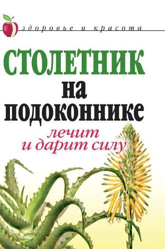 Agave on the windowsill