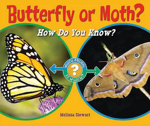 Butterfly or Moth?: How Do You Know?(Which Animal Is Which?)