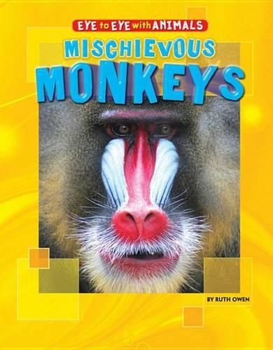 Mischievous Monkeys