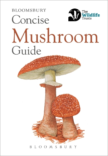 Concise Mushroom Guide: (Concise Guides)