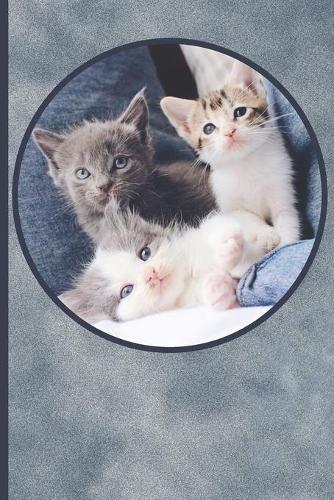 Kitten Journal
