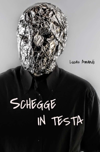 Schegge in testa
