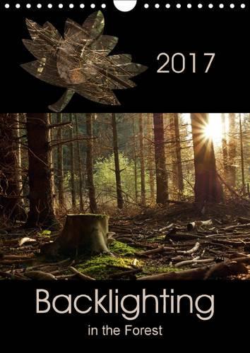 Backlighting in the Forest 2017: Backlighting is One of the Most Attractive Forms of Lighting for Photography and Creates Interesting Highlights(Calvendo Nature)