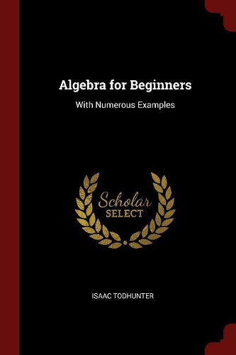 Algebra for Beginners
