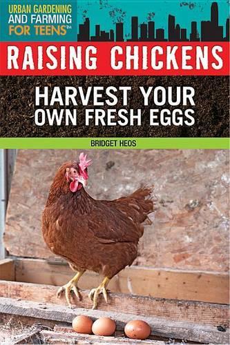 Raising Chickens: Harvest Your Own Fresh Eggs