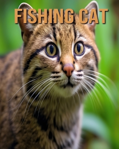 Fishing Cat