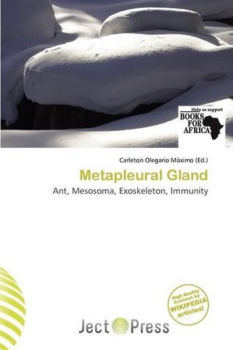 Metapleural Gland