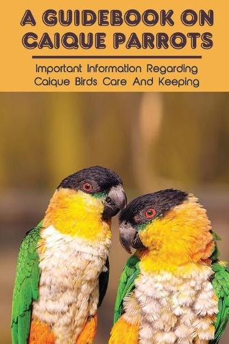A Guidebook On Caique Parrots