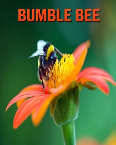 Bumble Bee