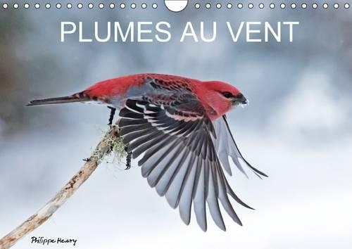 Plumes au Vent 2017: Des Oiseaux en Action au Fil des Quatres Saisons(Calvendo Animaux)