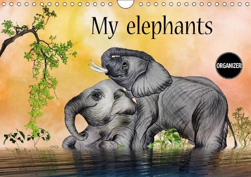 My elephants 2019