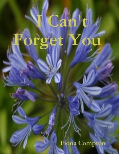 I Can't Forget You