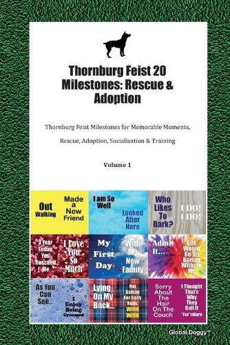 Thornburg Feist 20 Milestones