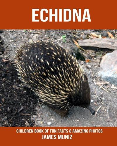Echidna