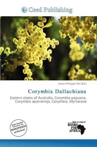 Corymbia Dallachiana