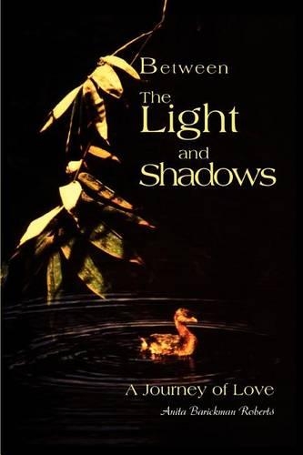 Between The Light and Shadows: A Journey of Love(English)