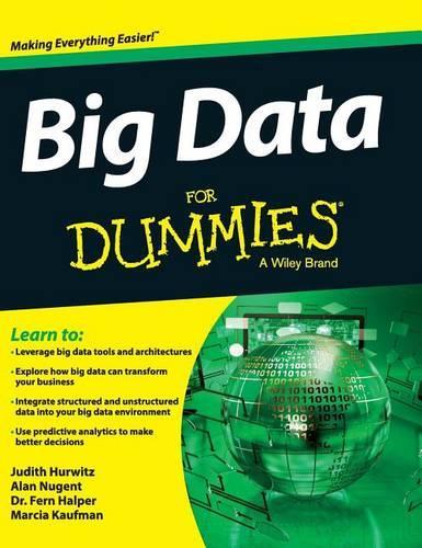 Big Data for Dummies
