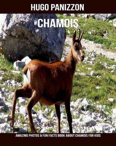 Chamois